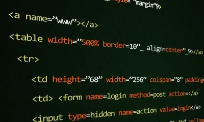 Canonical Tag Issues Hurting SEO: A Security-First Engineering Perspective