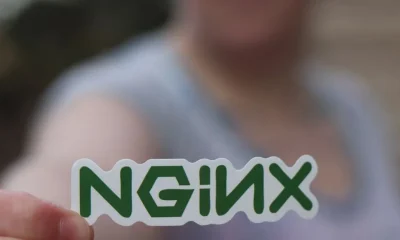 Nginx Configuration Guide for Modern Web Applications: A Technical Manual
