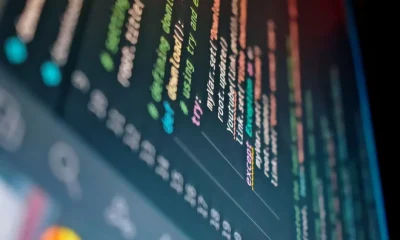 Architectural Foundations for High-Scale Rental Application Processing Software