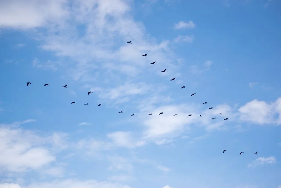 What a Cloud Migration Actually Looks Like: A Week-by-Week Technical Roadmap