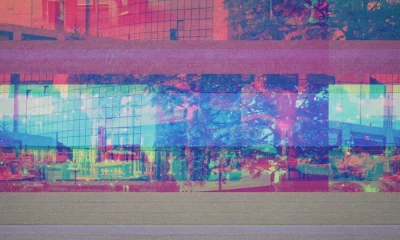 Fixing Framer Motion Layout Animation Glitches and Flickering