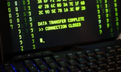 Securing Enterprise IoT Networks Against DDoS Attacks