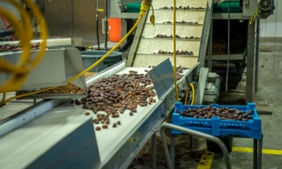 Machine Learning for Quality Control in Food Processing Systems