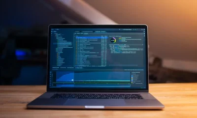 Software Product Life Cycle: From Inception to Decommissioning