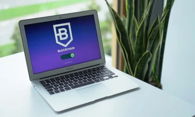 Architecting Stripe Crypto Payouts for Digital Creator Platforms