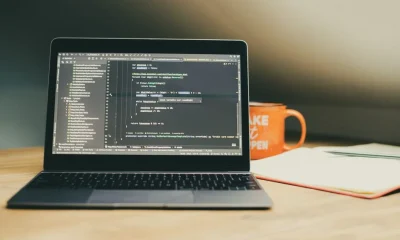 What Happens to Your Code if Your Development Agency Shuts Down?