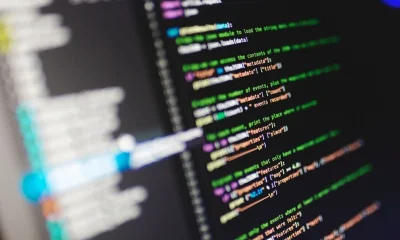Application Software Development Life Cycle: A Strategic Blueprint for Business Value