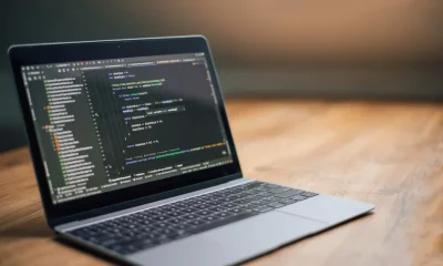 Software Security: Defending Your Digital Kingdom from the King’s Field