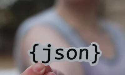 JSON Server: Architecting Robust Mock API Environments for Enterprise Development