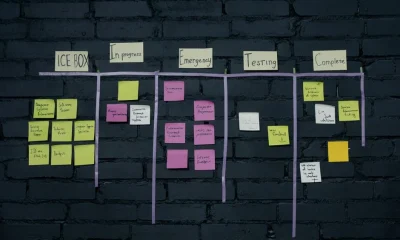 Traditional Software Development Methodologies: A Consultant’s Guide to Selection and Implementation