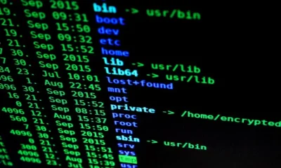Traefik vs Nginx Proxy Manager for Small Docker Swarms: A Cloud Architect’s Deep Dive