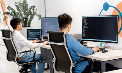 Types of Software Developer: Roles, Responsibilities, and Security Implications