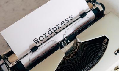 What a WordPress Staging Site Is Actually For